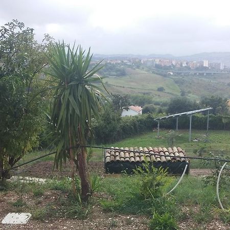 Le Querce Bed & Breakfast Ancona Luaran gambar