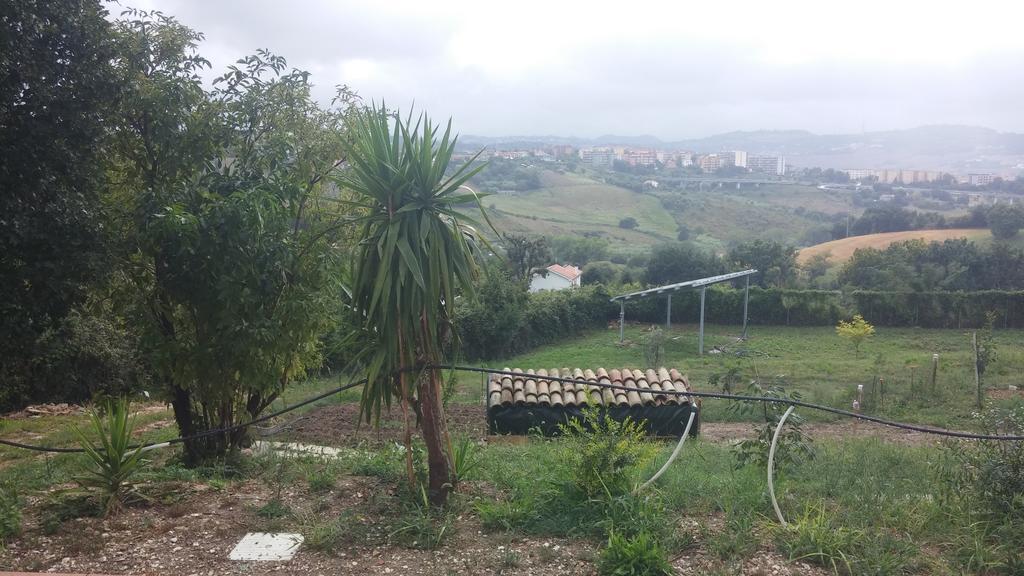 Le Querce Bed & Breakfast Ancona Luaran gambar