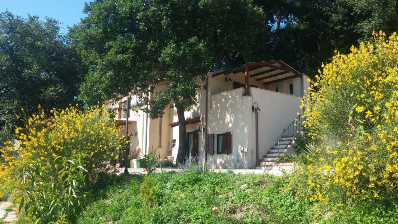 Le Querce Bed & Breakfast Ancona Luaran gambar